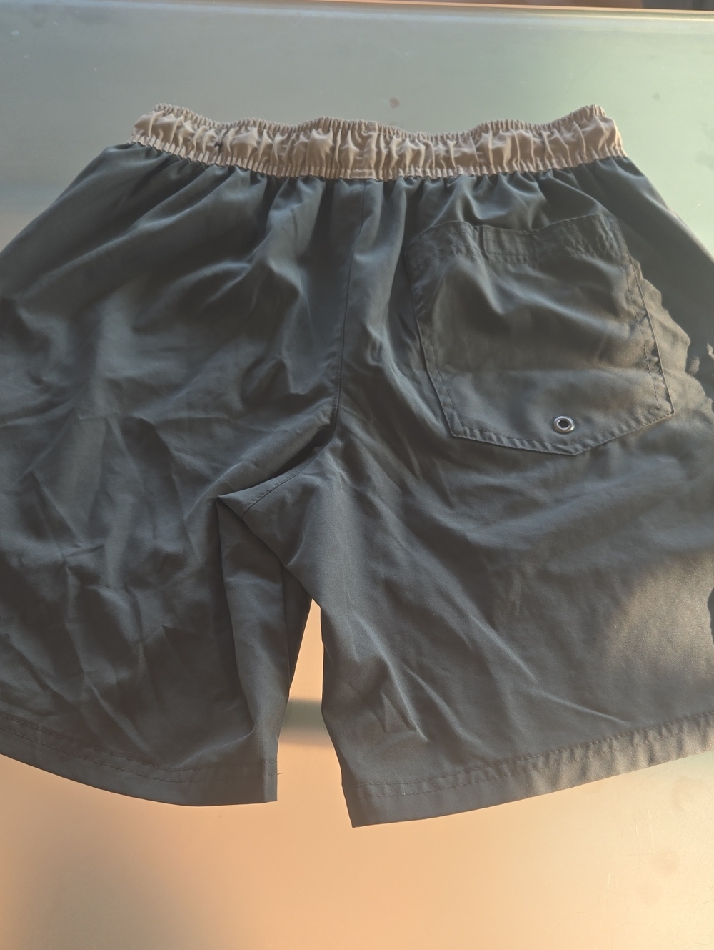 Discovery Men's Two-Tone Swim Trunks in Sage Green with Cream Waistband